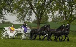 Geschenkideen zur Goldenen Hochzeit Bild 2